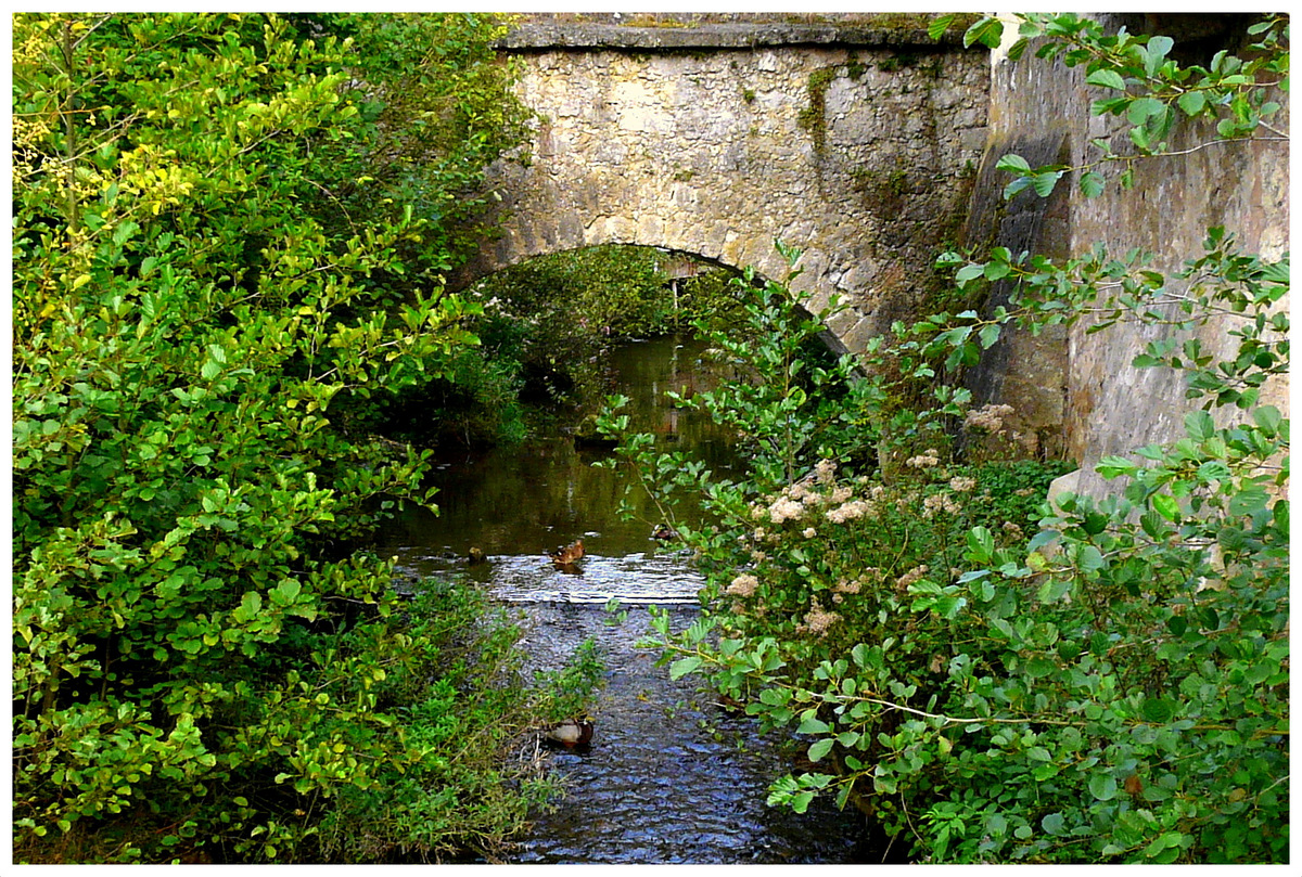 Flussparadies Franken e. V.