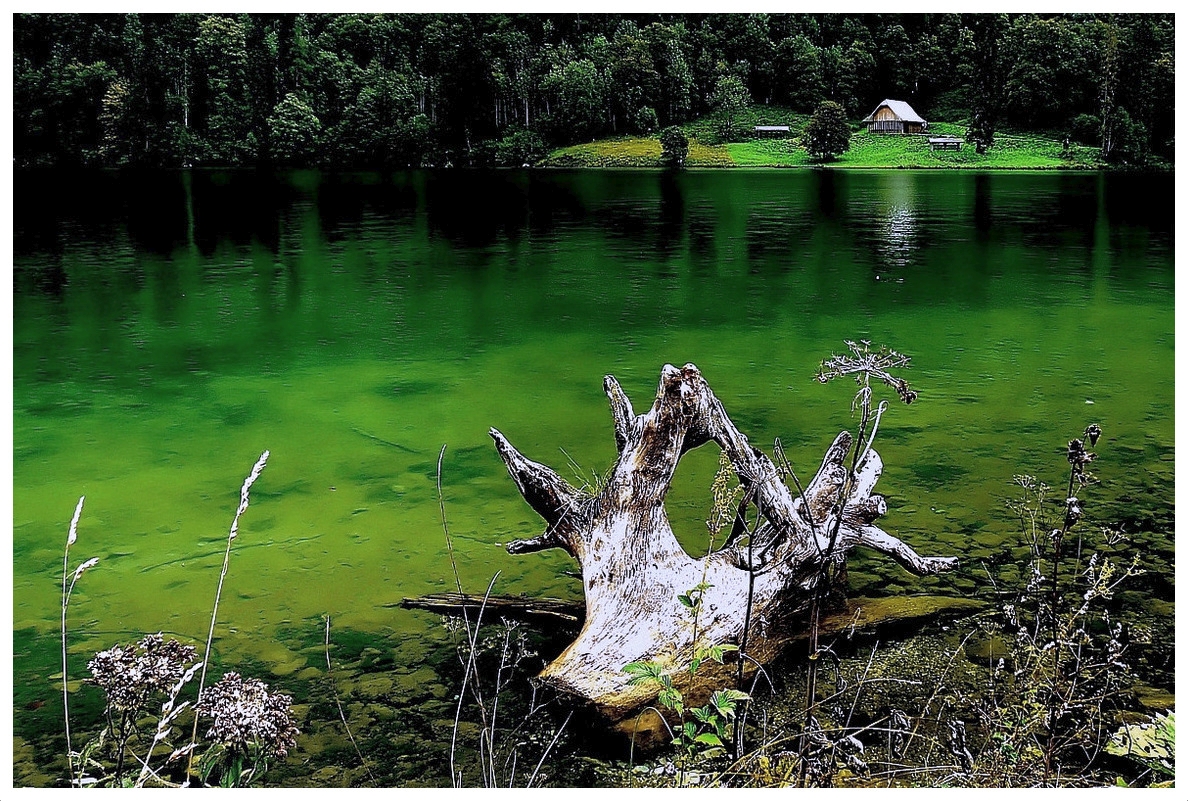 manufocus®: Am Obersee (Königssee)